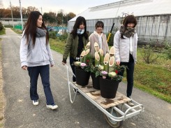 門松様のお通り！！縁起物なので、いつもより慎重に慎重に。