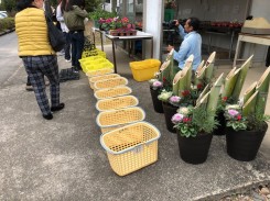 門松にシクラメン。年末らしい商品をご用意しました。