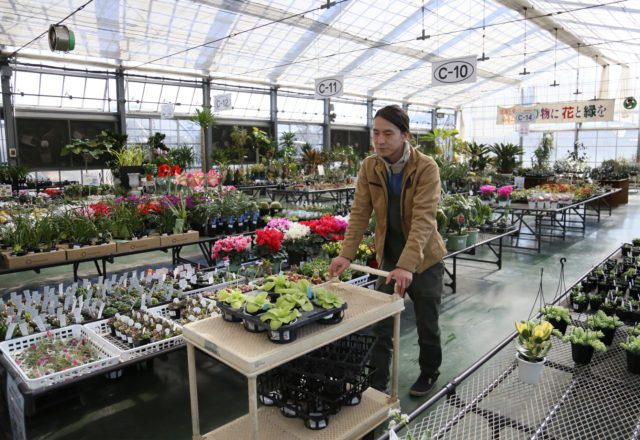 協同組合 日本ライン花木センター 専門学校 岐阜県立国際園芸アカデミー