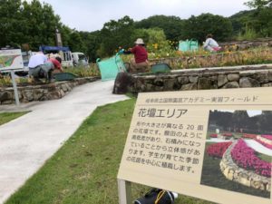 公園内は花盛りでした