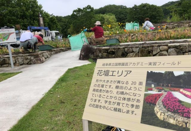 公園内は花盛りでした