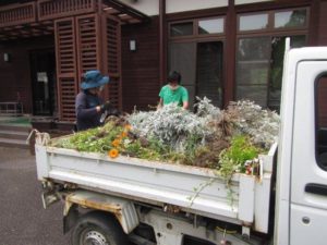 植物ゴミ（残渣）を軽トラックに積む