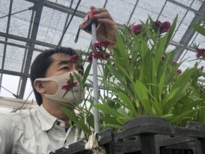 休校中につき、卒業研究の調査を教員が代わりに行っています。