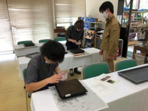 種のまきかたを教えているのも…二年生!