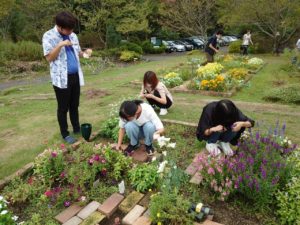 試験花材を収穫する学生ら