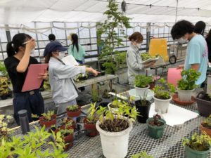 温室の管理方法の指導