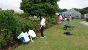 芝生と植栽地の間の溝に注目