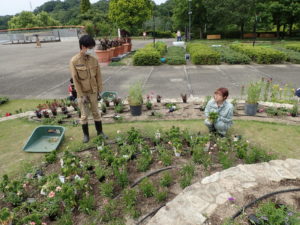 花フェスタ花壇植栽