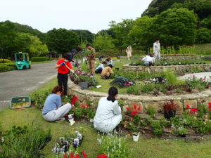 花フェスタ花壇植栽