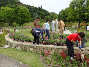 花フェスタ花壇植栽