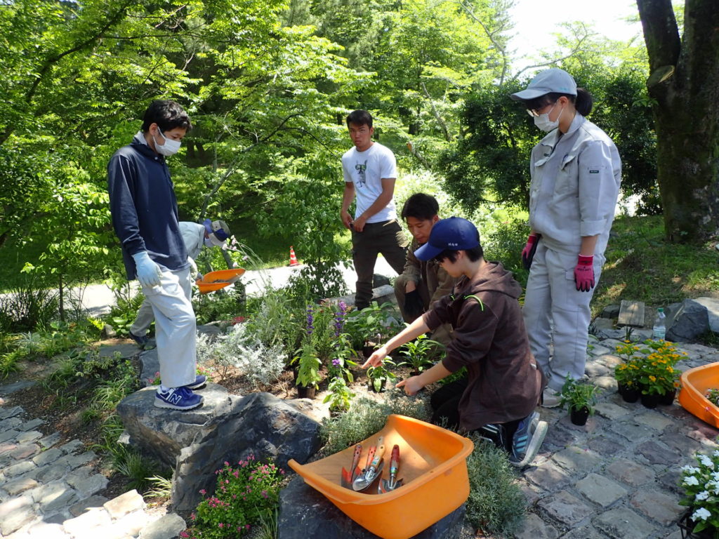 自然風花壇植替