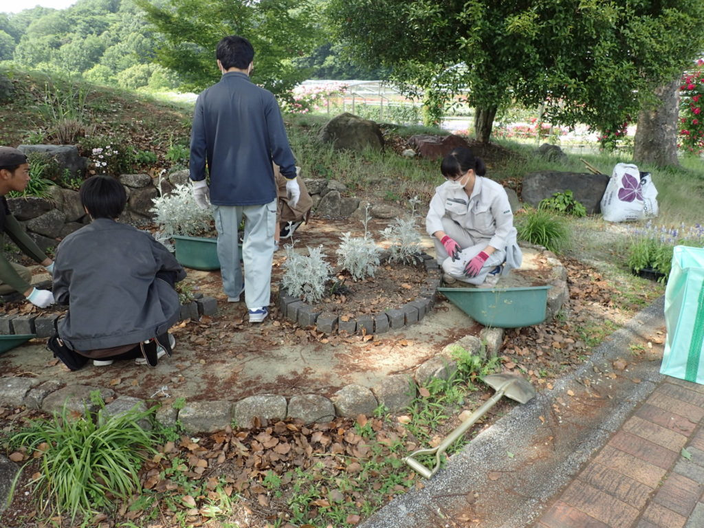 花フェスメンテ