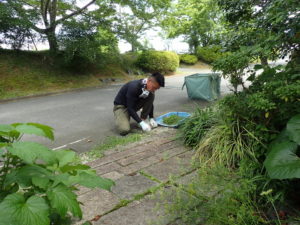 除草作業