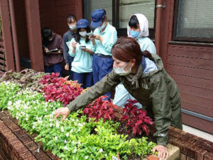 NHK趣味の園芸でおなじみの天野麻里絵先生による説明