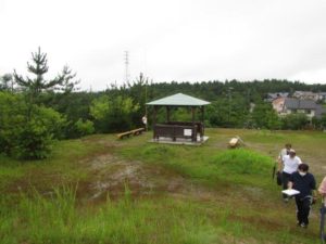 樹高計で植栽したときの高さを確認