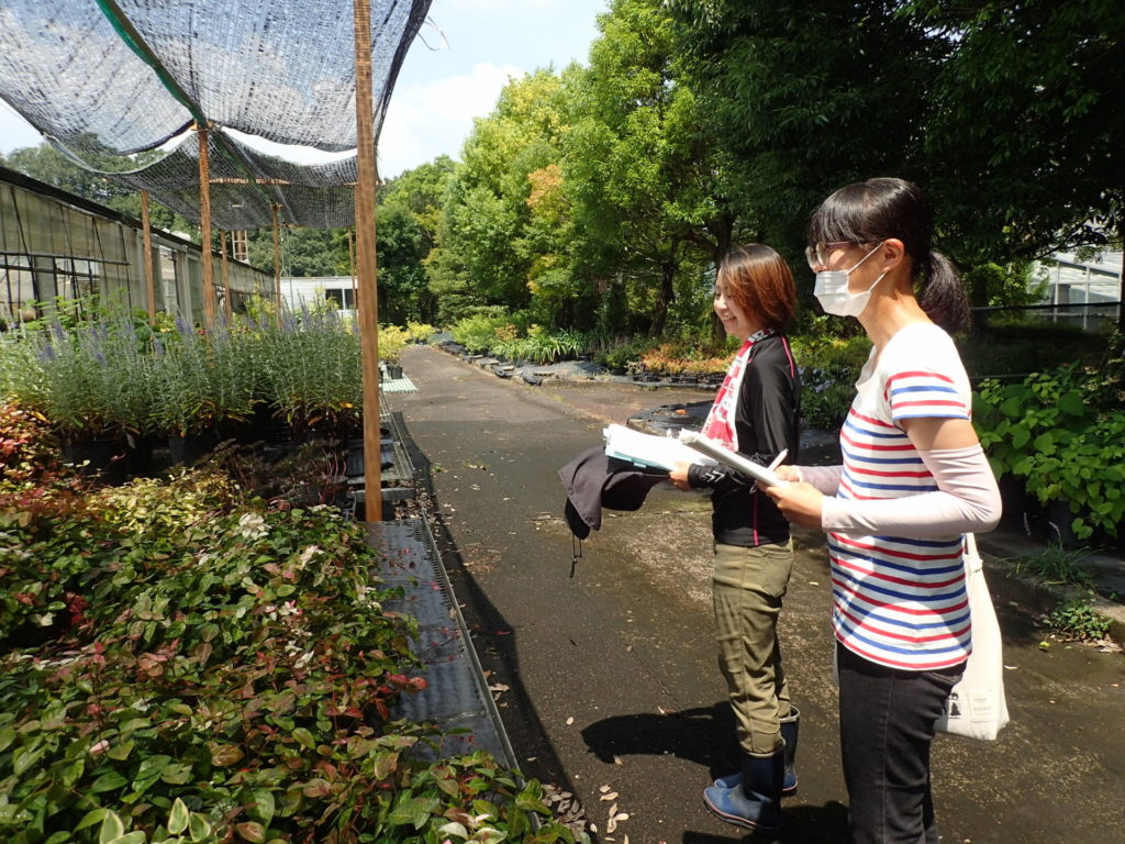 花フェスタ展示