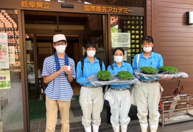 加茂農林高校の生徒さんとアカデミー花き生産コース学生