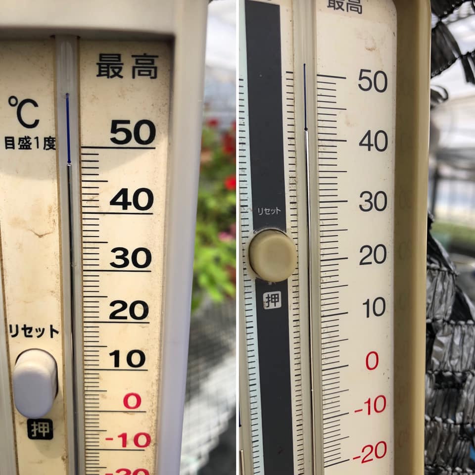 左：ドライミスト無し温室→48℃ 右：ドライミスト有り温室→41℃