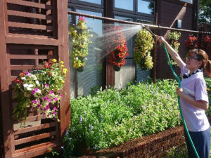 花壇と釣り鉢(立体花壇)への散水