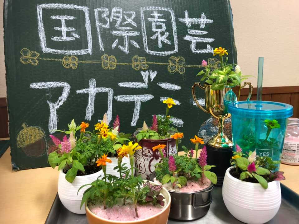 今回プロモーションするマイクロ寄せ植え