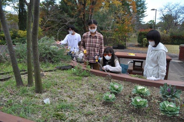 加齢体験キットを装着し車椅子に乗りレイズドベッドで園芸活動を体験する