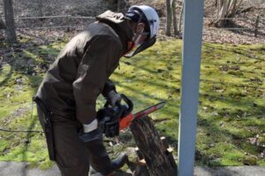 チェーンソーで部材を作る公園スタッフ