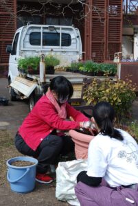 寄せ植え制作のアシスタントをする学生