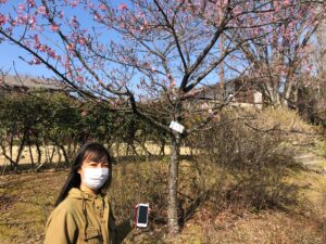 合格おめでとう!