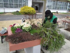 花がら摘みなど他の植物も管理