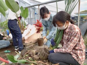 植え替えを行う学生ら