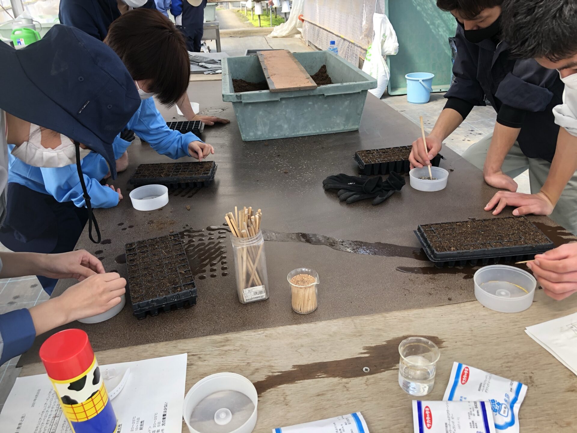 地味な作業ですが、園芸はここから始まります