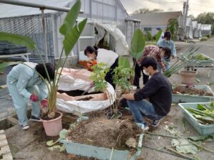 植え替えを行う学生ら