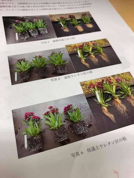 試験結果中間報告書