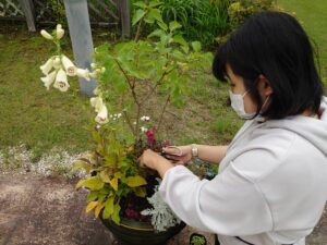 寄せ植えをメンテナンスする学生