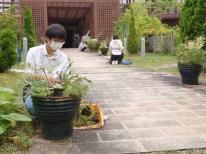 寄せ植えを植え替える学生ら