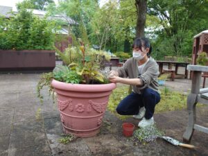 植え替える学生