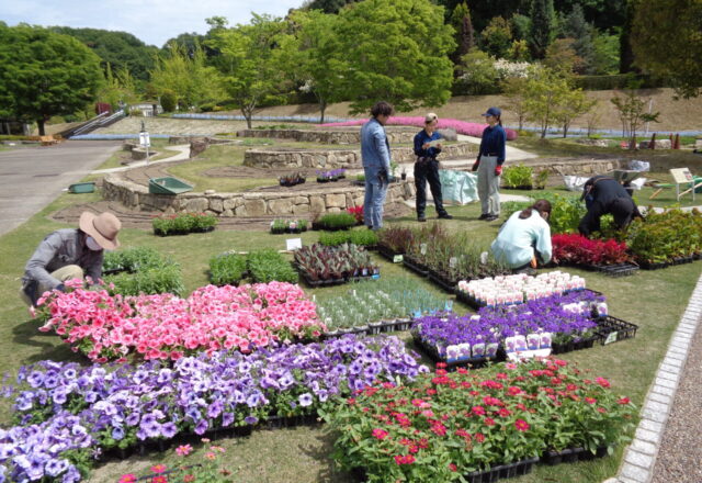 花フェスタ実習Ｆ