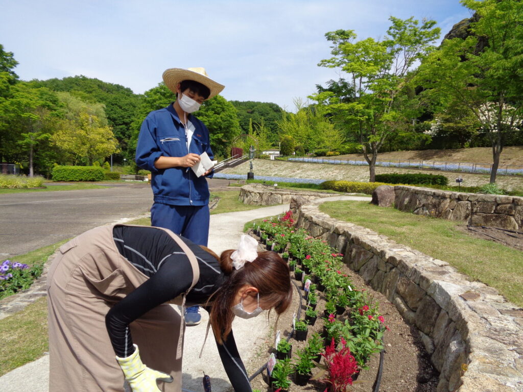 花フェスタ実習Ｆ