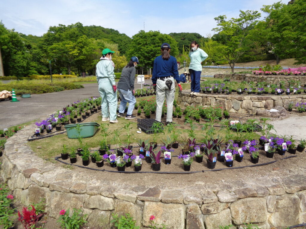 花フェスタ実習Ｆ