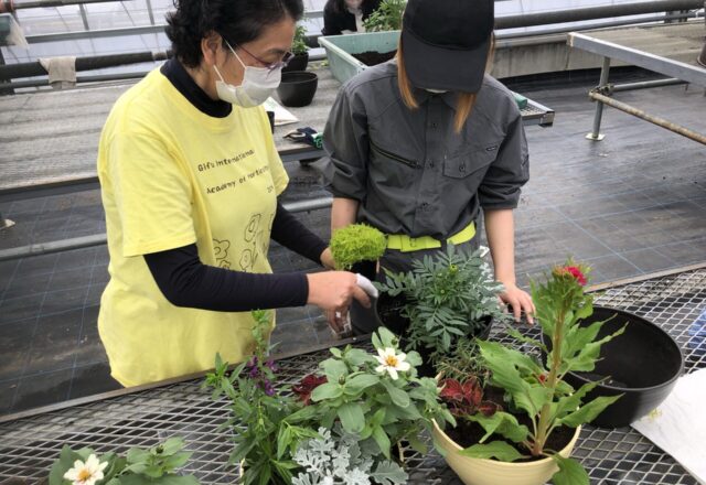 植物の組み合わせをアドバイス