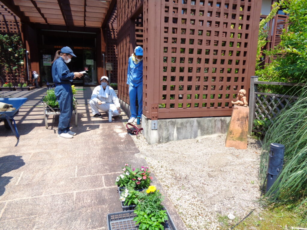 学内花壇植栽