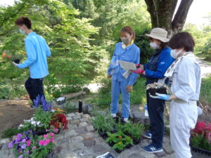 学内花壇植栽