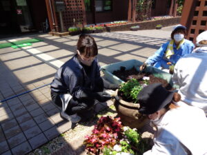 学内花壇植栽