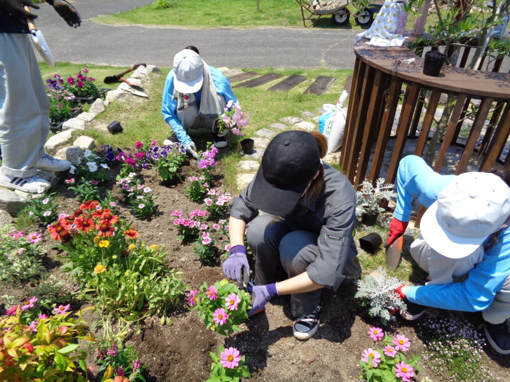 学内花壇植栽