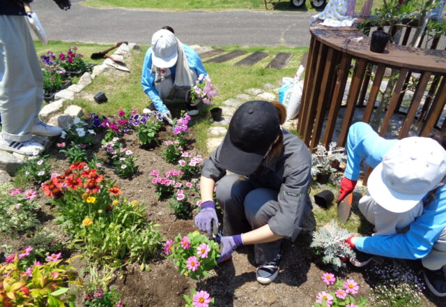 学内花壇植栽