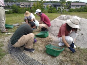 瓦舗装修復前に除草