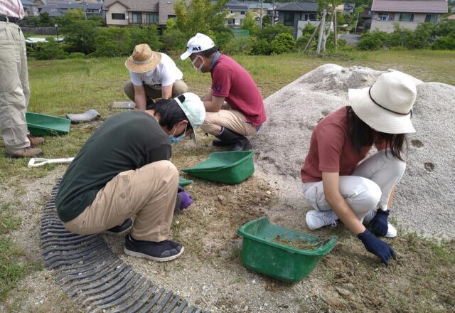 瓦舗装修復前に除草