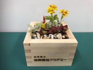 完成した升マイクロ寄せ植え