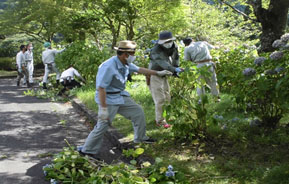 剪定方法の確認