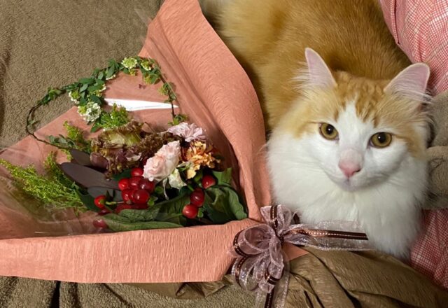 学生が制作した花束と猫